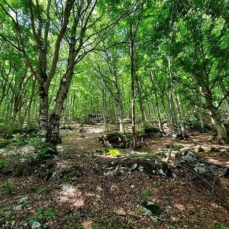 L' Incantevole Tana Di Oto * Ovindoli